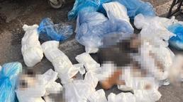 İzmir'deki 33 ölü kedi vahşetinde yeni gelişme! Veterinerle ilgili verilen karar başsavcılık itiraz etti