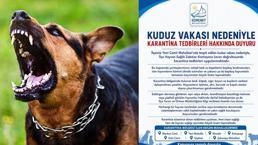 İlk vaka tespit edildi! Bir ilimizde kuduz karantinası; vatandaşlara kritik uyarılar