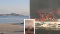 İstanbul Büyükada'da yangın paniği! Viranbağ Plajı alevlere teslim oldu