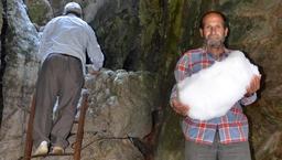 Toros Dağları'nda 50 metre derinlikte saklıyorlar! Sırrını anlattılar
