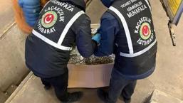 Gümrükler Muhafaza ekipleri zehir tacirlerine göz açtırmadı