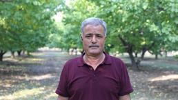 Çorak arazide tarım yaptı! 60 ton ürün elde ediyor: Ağaç sayısı gittikçe artıyor