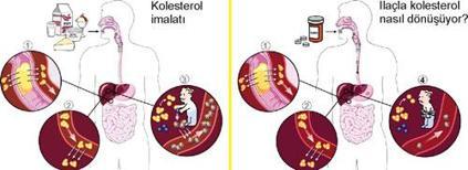 Kolesterol düşürücü ilaçlar kime verilmeli?