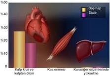 Kolesterol düşürücü statinlerin yan etkileri