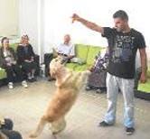 iÇERiDE BiRi Mi VAR?