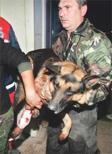 KÖPEK DEYiP GEÇMEYiN