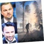 TARKAN’IN ZEYTİNLERİ, DICAPRIO’NUN ORMANI!