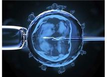 Embriyo Transferi Kaçıncı Günde Yapılmalıdır?