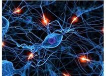 Nöral Tedavi nedir? Bozucu Alan Nedir? Nöral Terapi nasıl iyileştirir?
