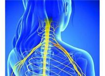 Boyunda sinir sıkışmasının sinirlere etkisi ve tedavisi