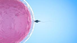 Yapay zeka ile embriyo seçimi