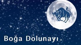 Ani değişimlerin dolunayı: 31 Ekim Boğa Dolunayı