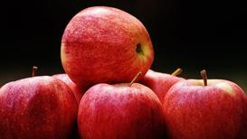 Günde bir elma tüketmenin faydaları