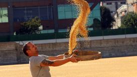 Gaziantep'te bulgurun meşakkatli yapım serüveni