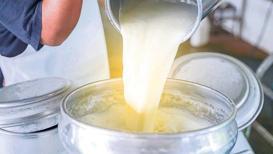 Çiğ süt, pastörize süt, UHT süt farkları neledir? Doğru sütü nasıl tüketebiliriz?