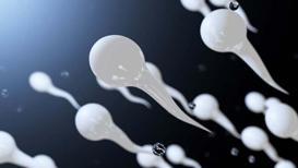 Sperm tahlilinde lökosit görülmesi ne anlama gelir?