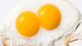 Yumurtanın üzerindeki kodlar ne anlama geliyor?