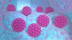 Kadınlarda HPV enfeksiyonunun belirtileri nelerdir?