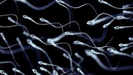 Sperm hastalıklarında yeni gelişmeler
