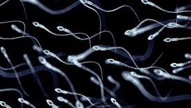 Spermim yaşlanıyor mu?