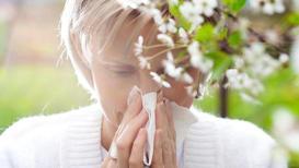 Bahar alerjinizi doğal çözümlerle hafifletin! Burun tıkanıklığı ve hapşırığı yok eden tarif