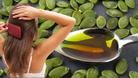 Kabaktaki yağdan gelen sihirli çözüm! Saç köküne birebir, vitamine boğacak