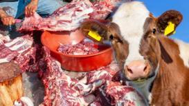 Kurban eti hiç ziyan olmuyor, doğru kesen yaşadı! En lezzetli ve değerli yeriymiş