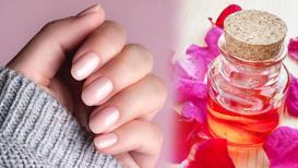 Gören dayanamıyor, hemen soruyor! Maniküre gitmiş gibi, rengini kuşburnundan alıyor