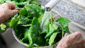 Ispanaktaki kum ve çamuru yok eden şaşırtıcı sır! Sadece 1 kaşık yetiyor