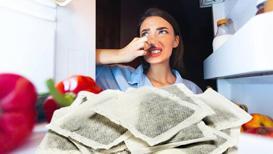 Buzdolabı kokusunu anında yok ediyor! Önce contaları kontrol edin, 1 paketi bile yetiyor