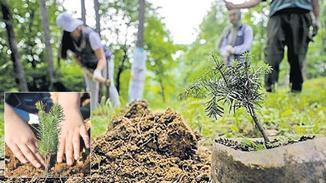 Her bebek için bir fidan! Yeşil Vatan seferberliği başlıyor