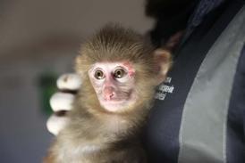 Uyuşturucu baskınından Doğal Yaşam Parkı'na! Portakal'ın hikayesi...