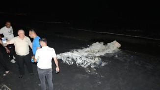 Samsun sahillerine vuran gizemli maddenin ne olduğu belli oldu