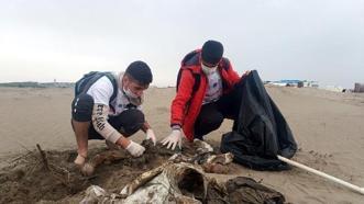 Harbiş Sahili'nde 2 ton atık toplandı