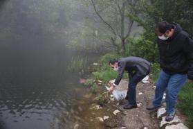 Domaniç’te 15 bin adet yavru sazan sulara bırakıldı