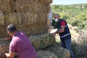 Balıkesir Büyükşehir Belediyesi'nden hayvan yetiştiricilerine yem desteği