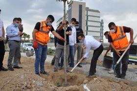 Cizre'de 15 Temmuz şehitler anısına fidan toprakla buluştu