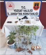 Yozgat'ta uyuşturucuya 1 tutuklama