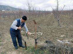 Elmalı'da yağış çiftçilerin yüzünü güldürdü