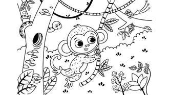 Maymun boyama sayfası