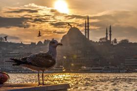 İstanbul İle İlgili Sözler 2024: İstanbul'un Anlatan En Güzel Ve En Anlamlı Sözler