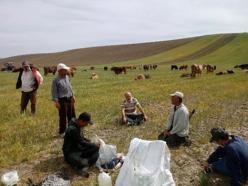 Yozgat’ta kuraklık çiftçileri üzdü