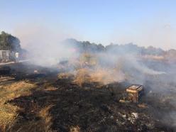 Otluk alanda çıkan yangın ormana sıçramadan söndürüldü
