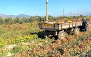 Manisa'da traktörün çarptığı kadın hayatını kaybetti