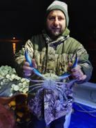 Karadeniz'de nadir görülen mavi yengeç ağlara takıldı