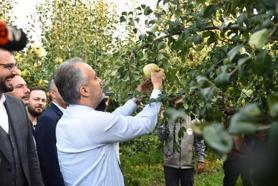 Deveci Armudunda hasat bereketli başladı