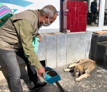 Silvan'da sokak hayvanları için mama ve yem bırakıldı