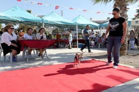 Narlıdere'de can dostlara özel festival; Pati-Fest