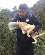 Başı bidona sıkışan köpek kurtarıldı