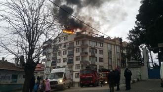 Sinop'ta yangın